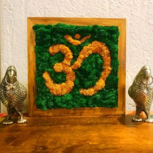 AUM Moss Frame with Dark Wood