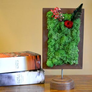 A Dainty Bloom in Red Tabletop Moss Frame