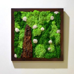 A Lichen Bog Moss Frame with Dark Wood