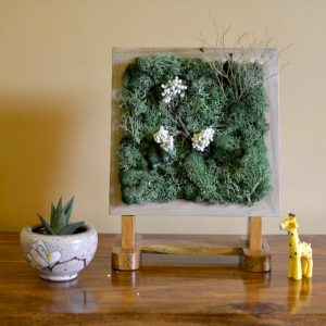 An Olive Grove Tabletop Moss Frame with Stand