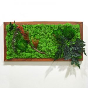 Untamed Backwoods Moss Frame with Dark Wood