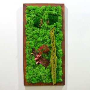 A Splash of Wild Moss Frame with Dark Wood