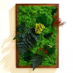 Fern Frenzy Moss Frame with Dark Wood