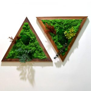Like A Diamond Moss Frame with Dark Wood