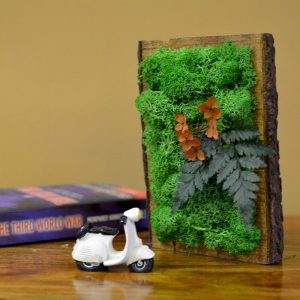 Eternal Summer Tabletop Moss Frame in Wooden Bark