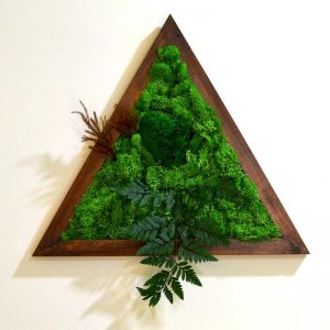 Triad Wilderness Moss Frame with Dark Wood
